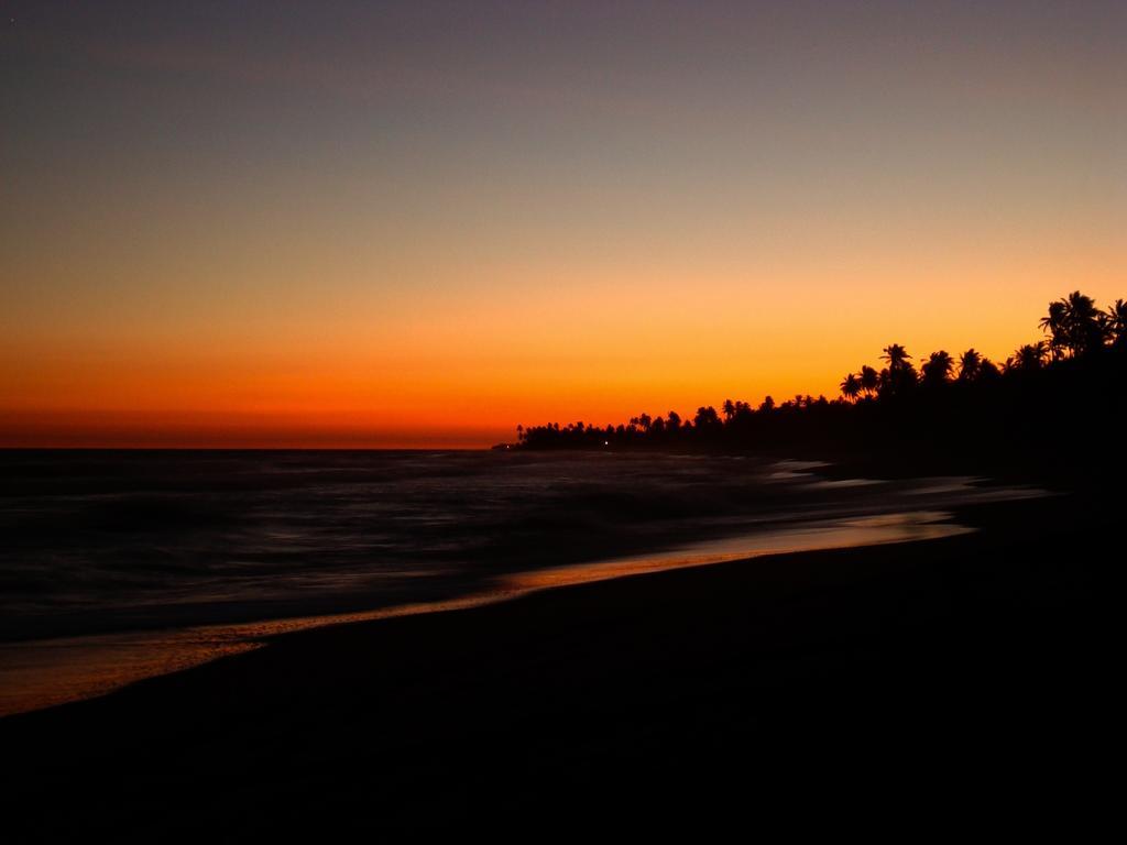Bahia Surf Camp Otel Abrantes Dış mekan fotoğraf